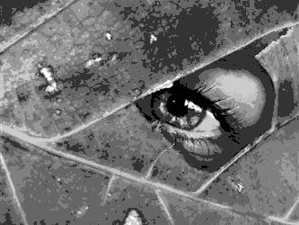Black and White Photo of an eye