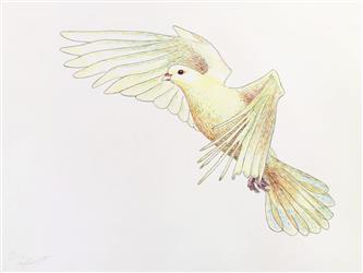 Sketched Bird