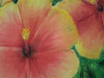 Pastel Flower